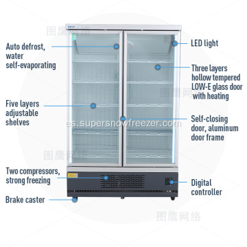 Gabinete de congelador de puerta de dos vidrios vertical